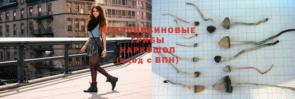 Альфа ПВП Аркадак